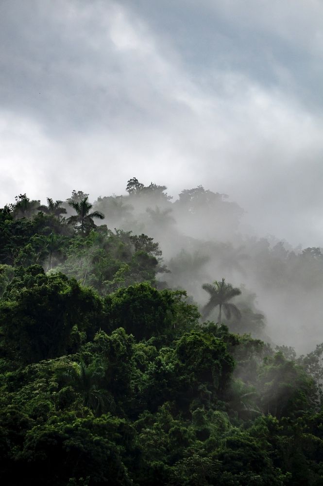 Photograph by Ryanny Torna