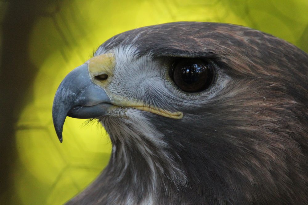 Photograph by Senthil Venugopalan