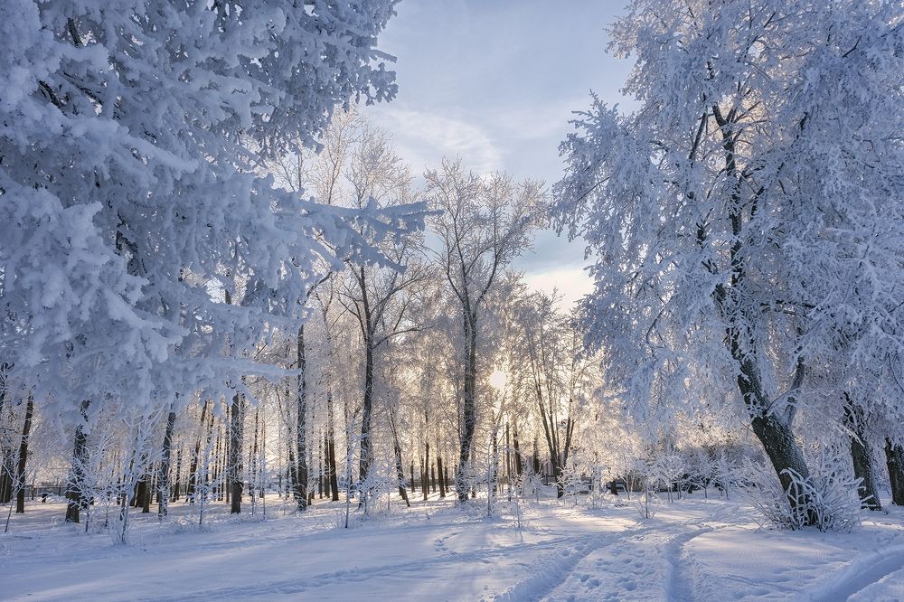 Photograph by Галина Юдина