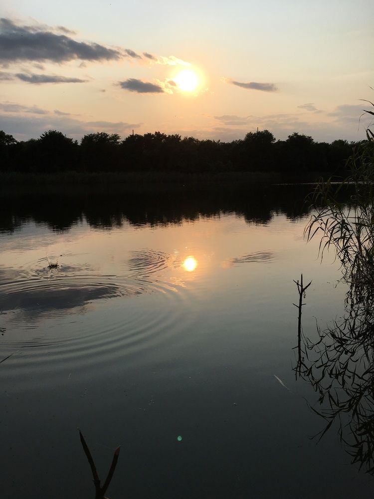 Photograph by Anna Krasova