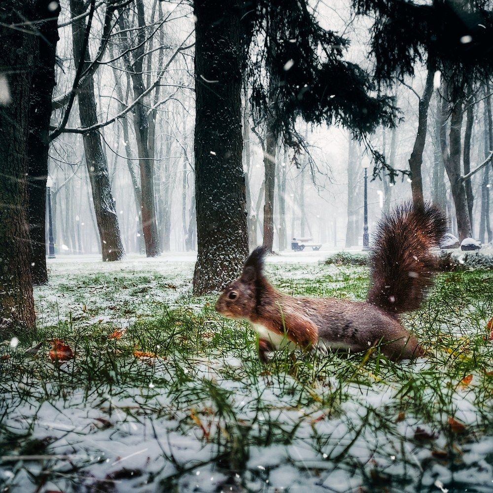 Photograph by Сергей Сократ