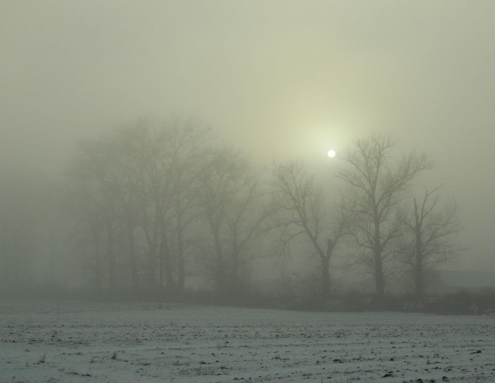 Photograph by Сергій Вітовський