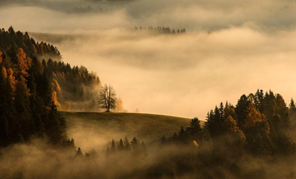 Photograph by Wioleta