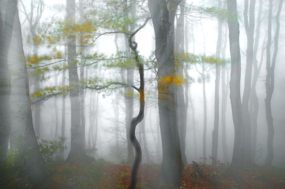 Photograph by Simon Kovačič