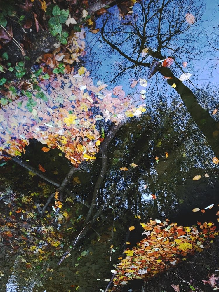 Photograph by Елизавета Рембицкая