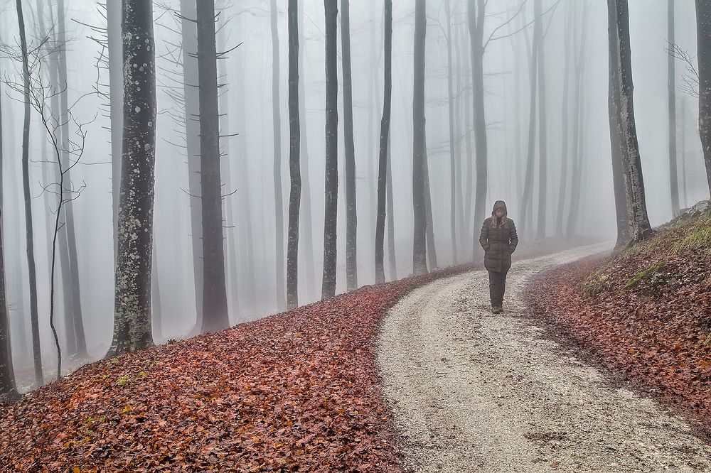 Фотография автора Simon Kovačič