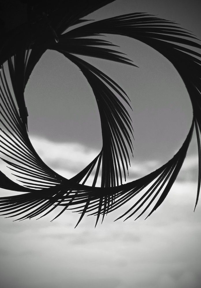 Photograph by Anamary Suarez Ortega