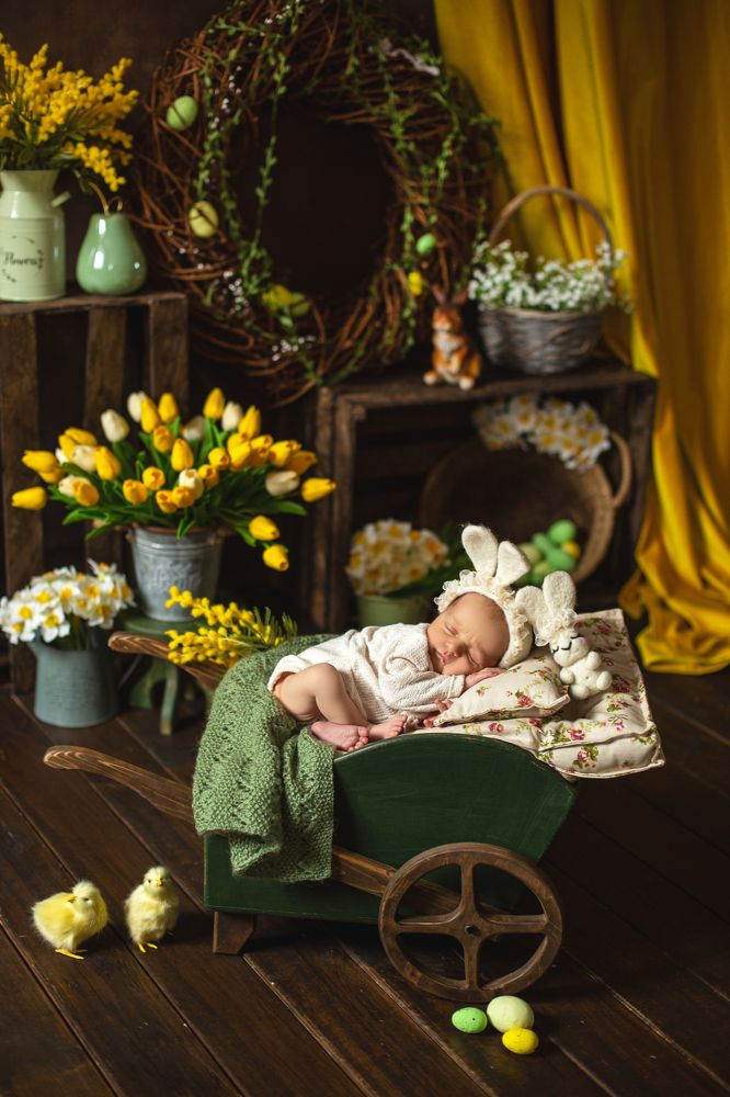 Photograph by Елена Баришполь