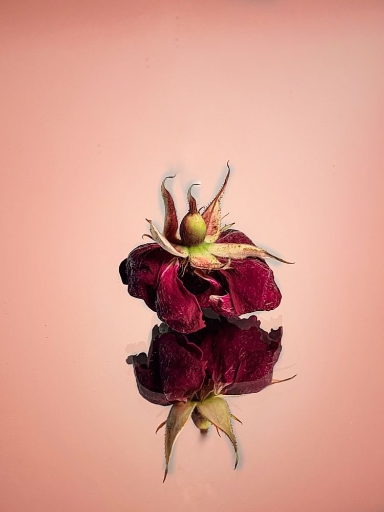 Photograph by Татьяна Соколовская