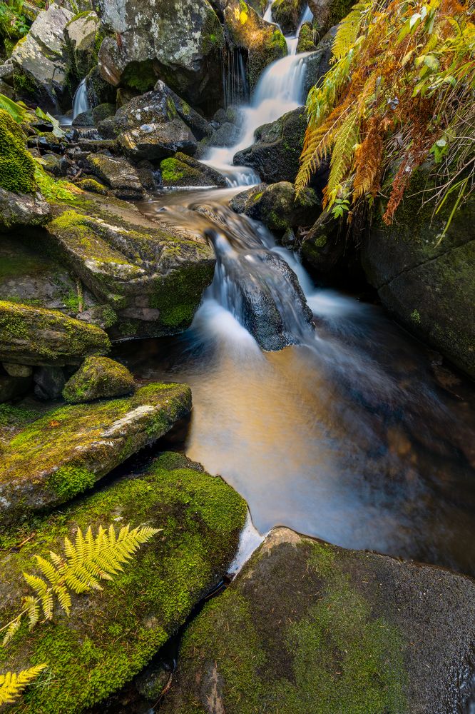 Photograph by Borviz Attila