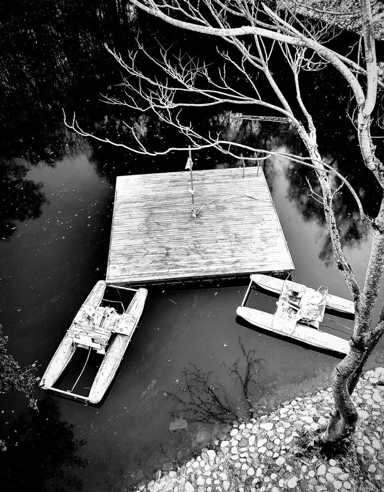 Photograph by 