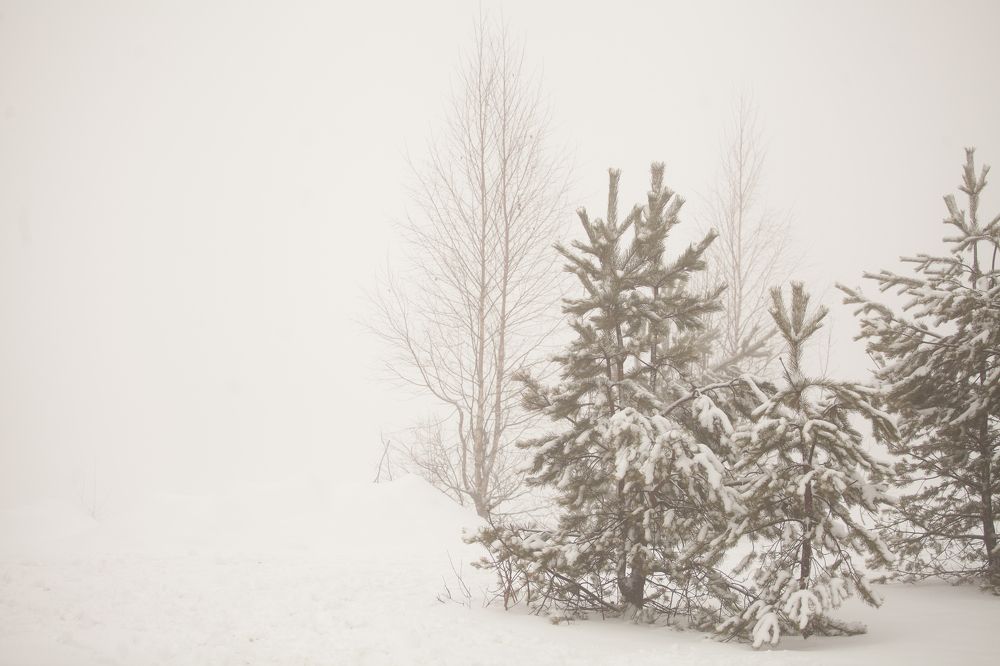 Photograph by Ирина Богатырева