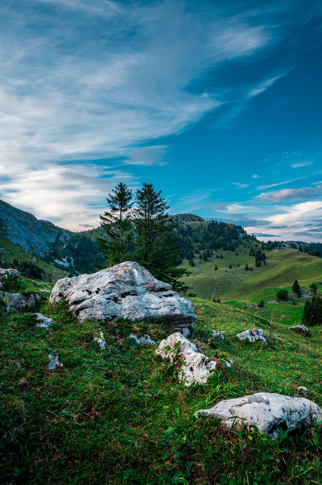 Photograph by Amel Mahmuljin