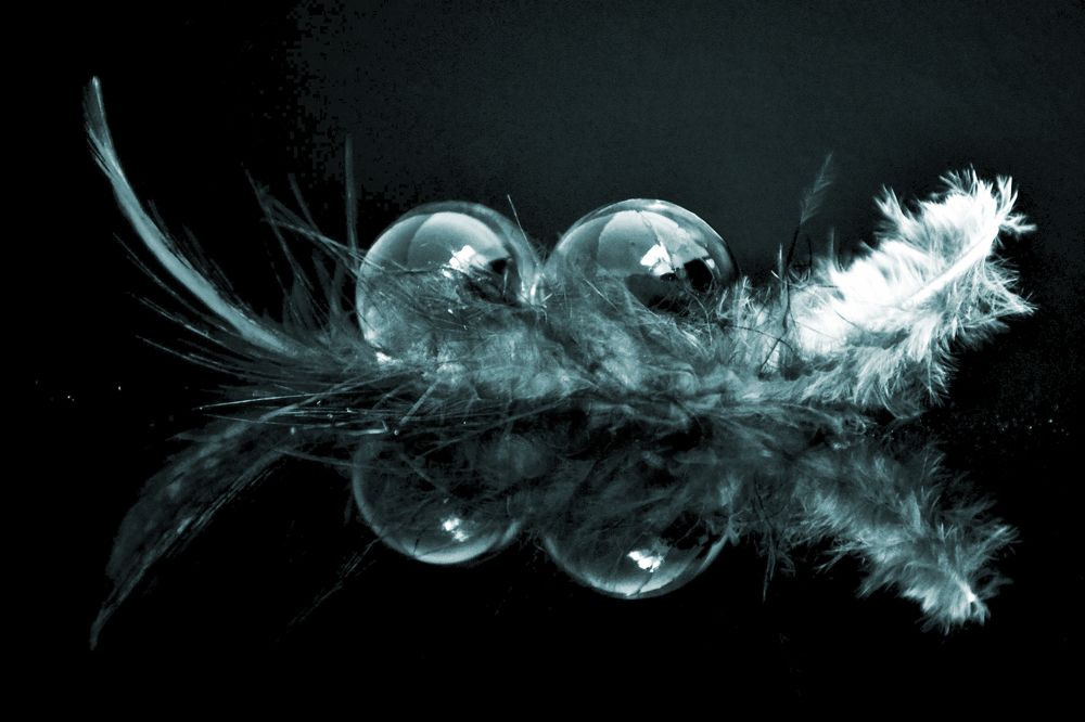 Фотография автора Yako Laverde