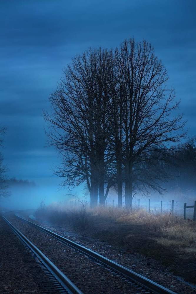 Photograph by Lyudmila Gruzdeva
