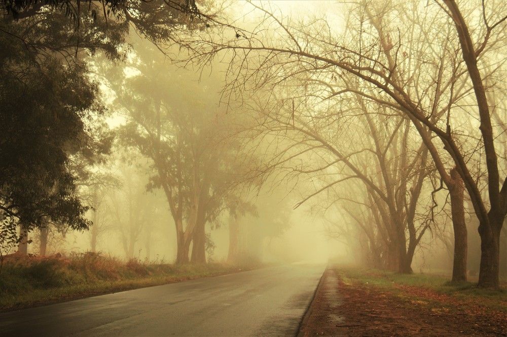 Photograph by Jorge Bagnuoli