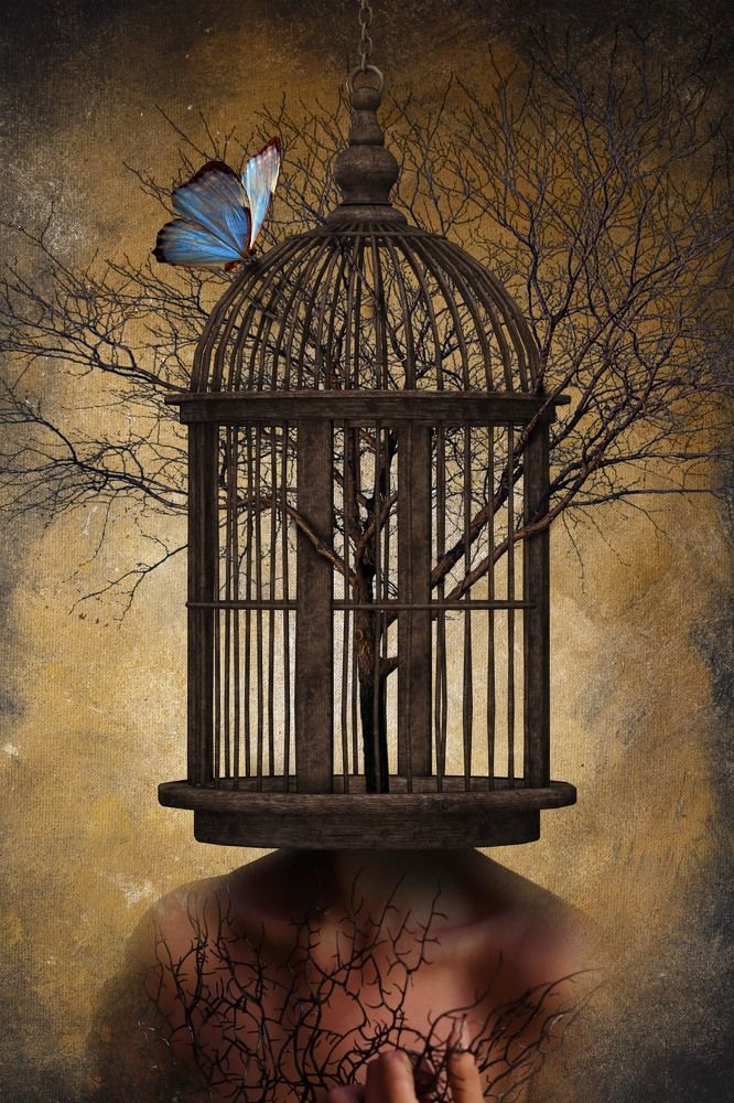 Photograph by Arlen Keshishian