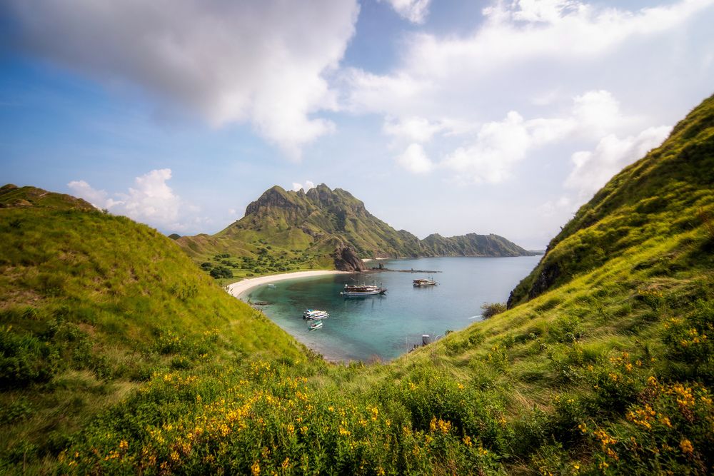 Фотография автора Cahyo Priyo Purnomo