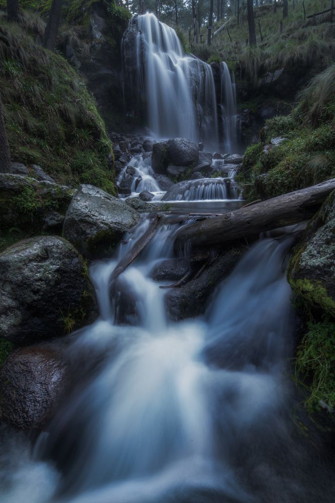 Фотография автора Felipe Heli Pérez Almonte