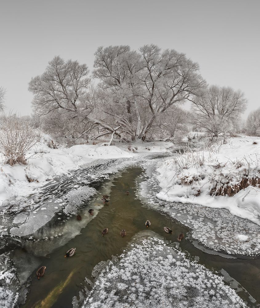 Photograph by Николай Андреев