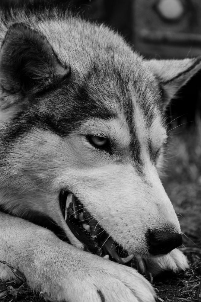 Photograph by Анна Рогачева