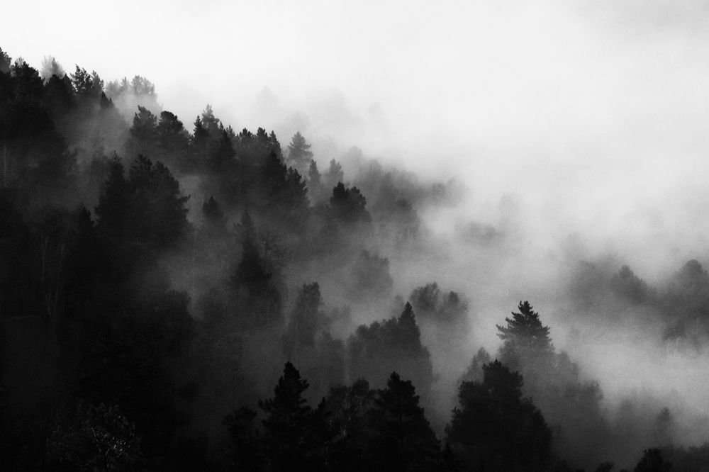 Фотография автора Анна Рыжкова