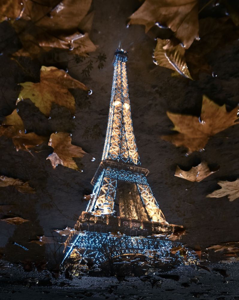 Фотография автора Robert Welsted