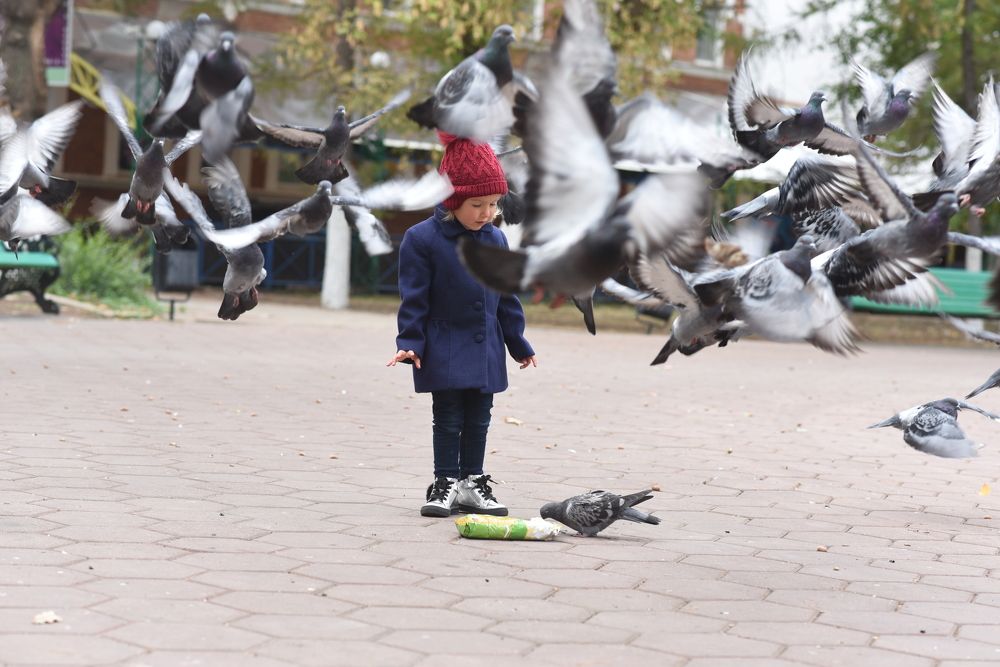 Photograph by Полина Кузаева