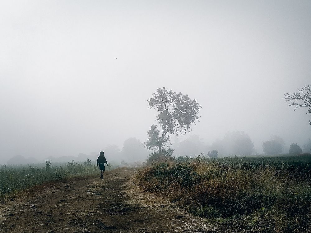 Photograph by Rohit Tonapi