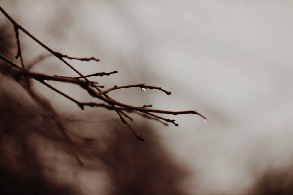 Photograph by Алёна Бондаренко