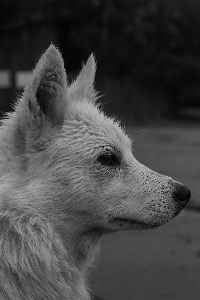 Photograph by Анна Рогачева