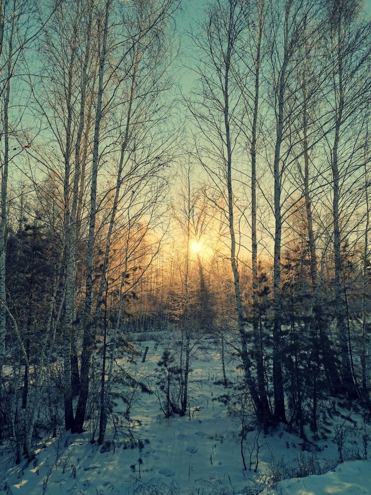 Фотография автора Регина Цыганова