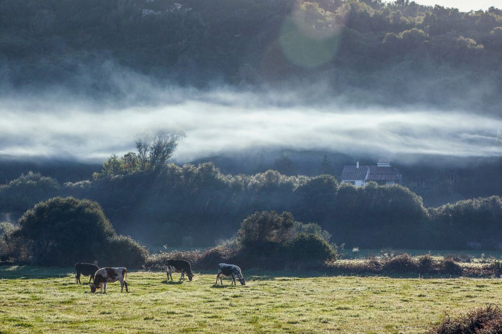 Photograph by Katerina Pustoshnaia