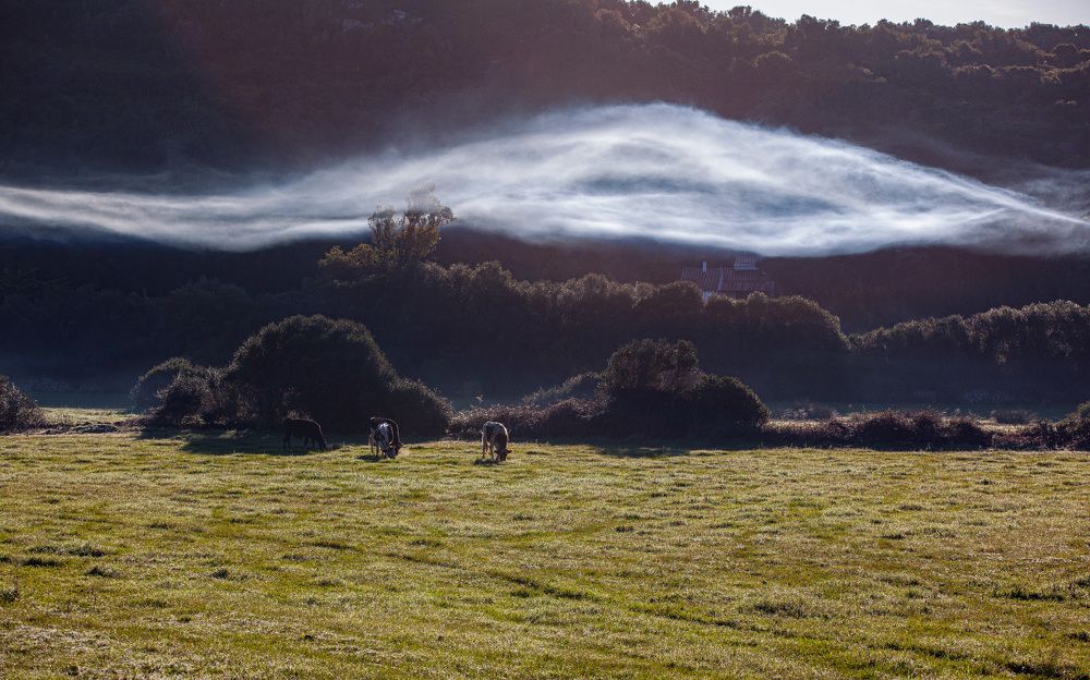 Photograph by Katerina Pustoshnaia