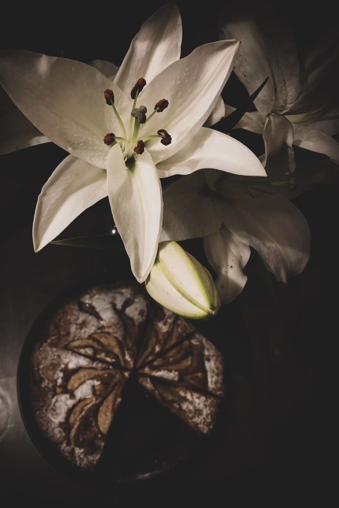 Photograph by Алена Жирова