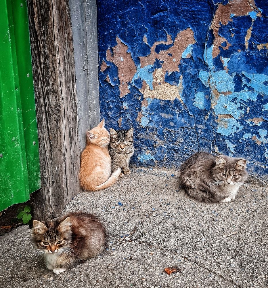 Photograph by Мария Владимировна