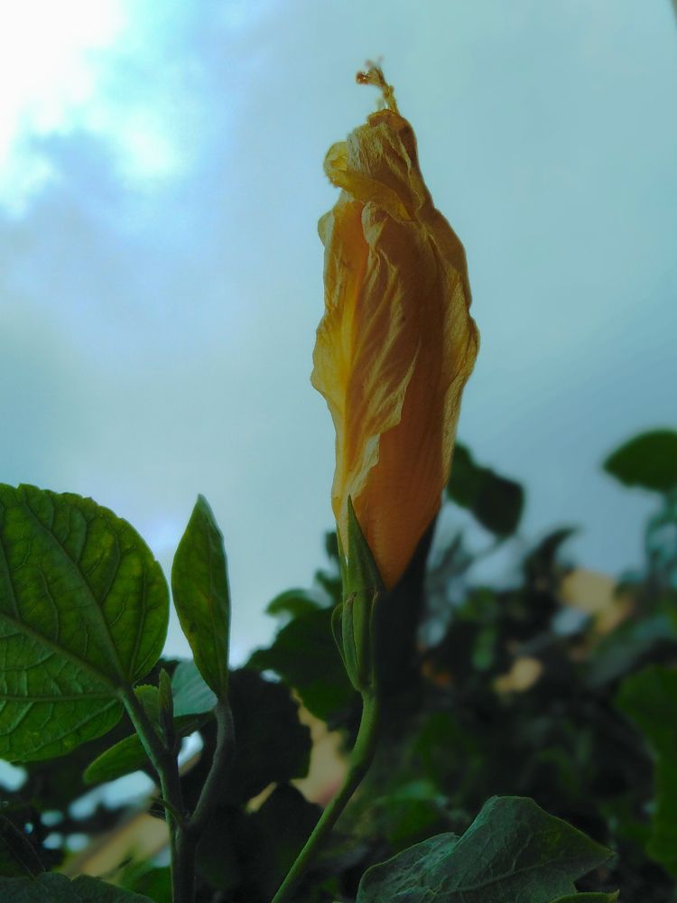 Фотография автора Menna taullah dakhly