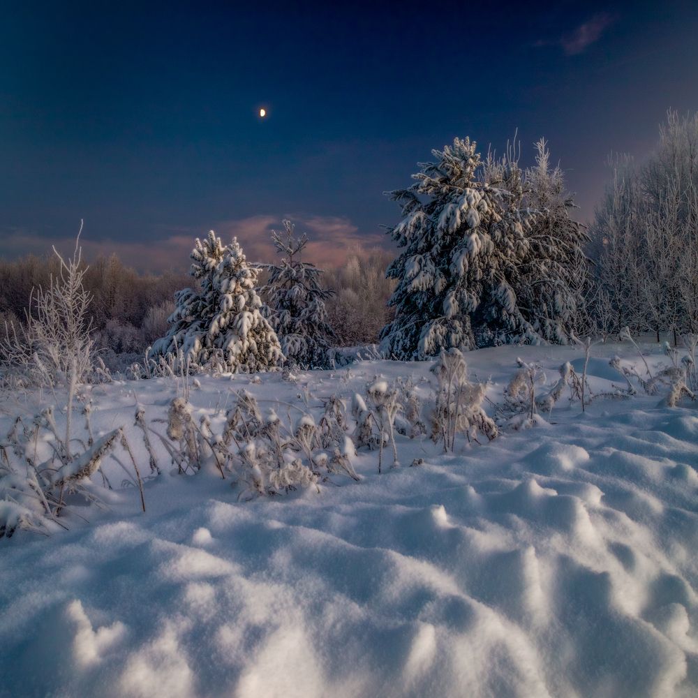 Фотография автора Панагушин Сергей
