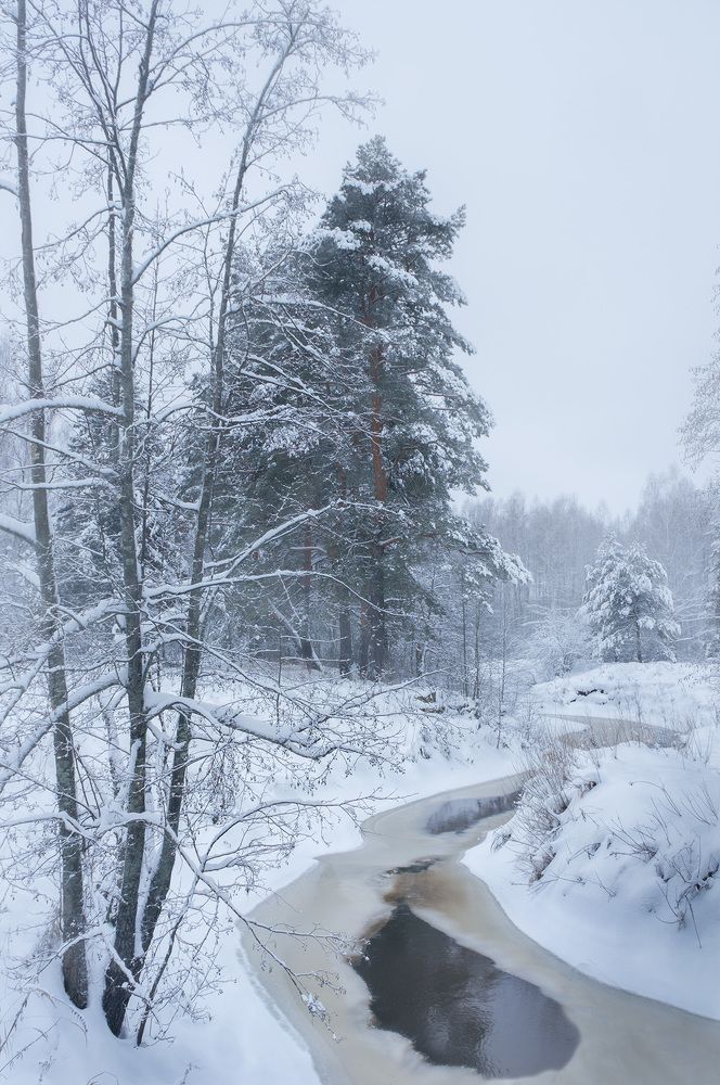 Фотография автора Колотушкин Иван