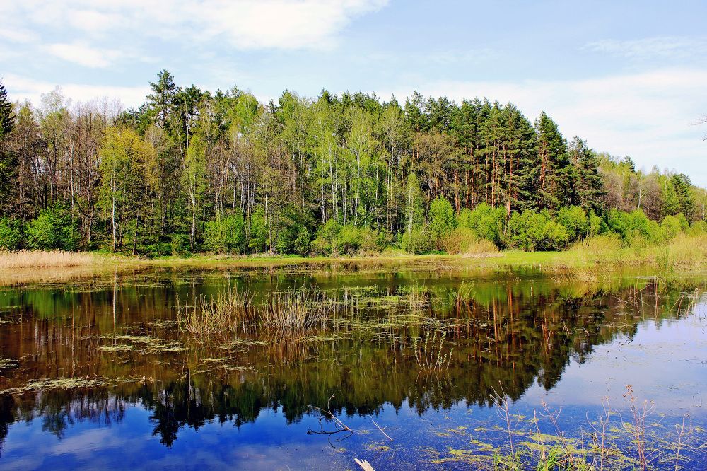 Photograph by Александр Бугаенко