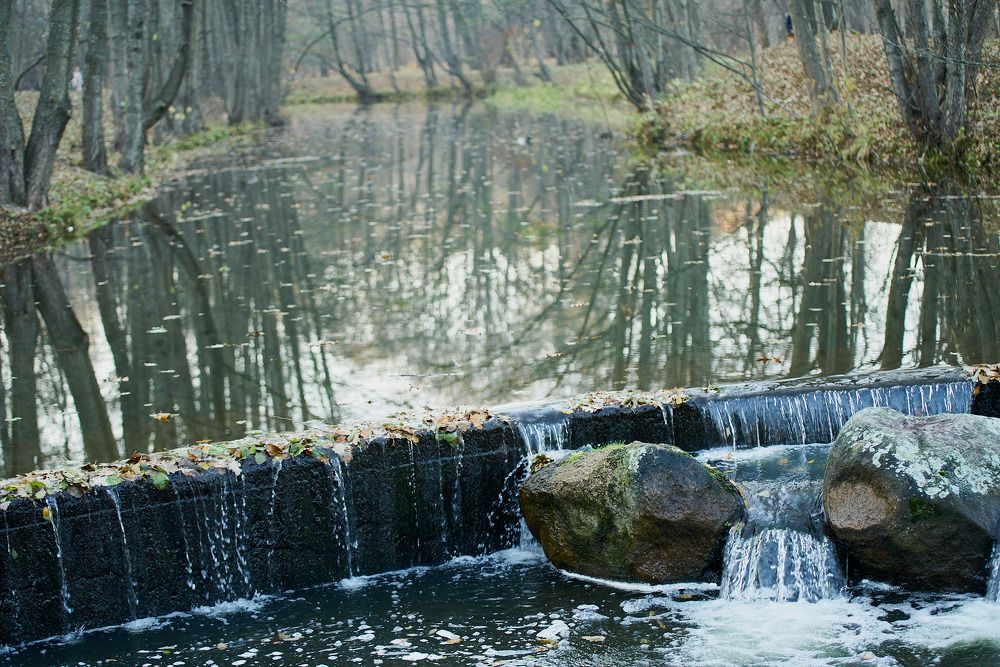 Фотография автора Евгений Вагуро