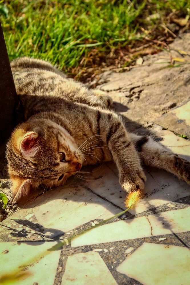 Photograph by talanavard farzad