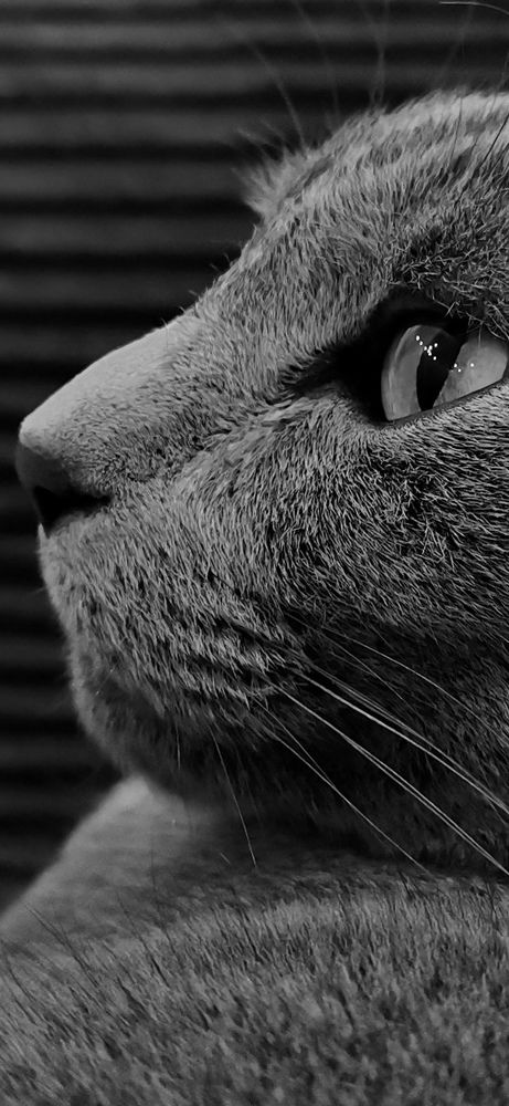 Photograph by Анастасия Копытова