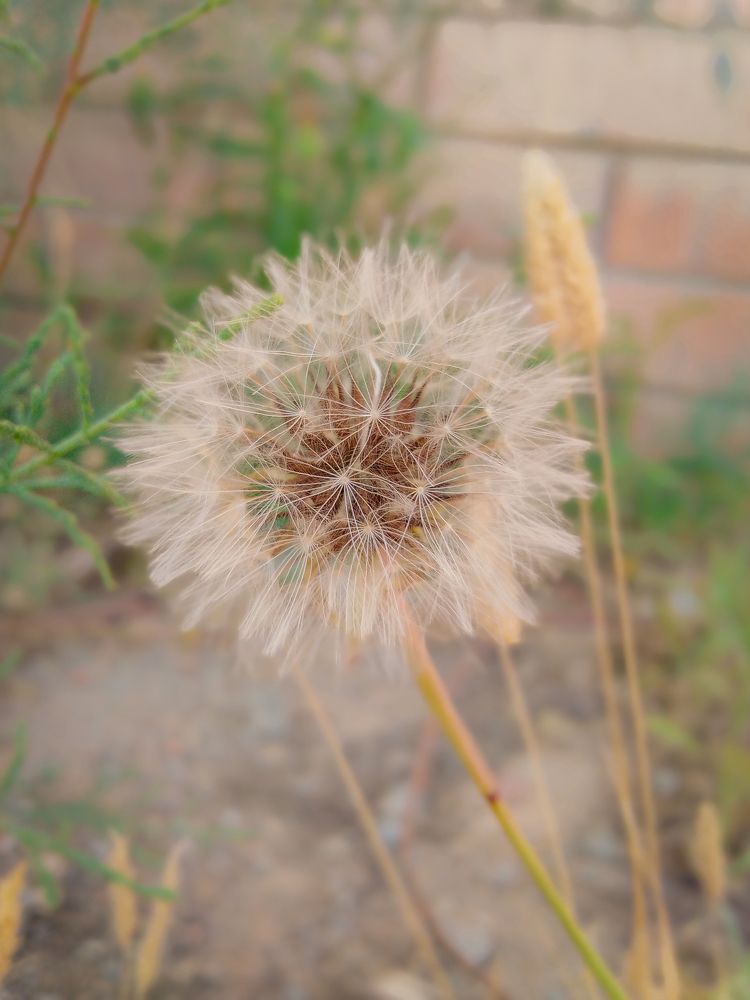 Фотография автора Mennataullah dakhly