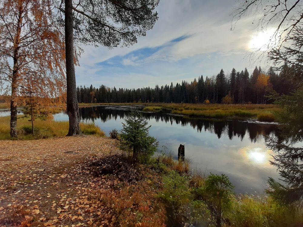 Photograph by Оля