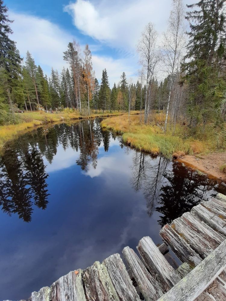 Photograph by Оля