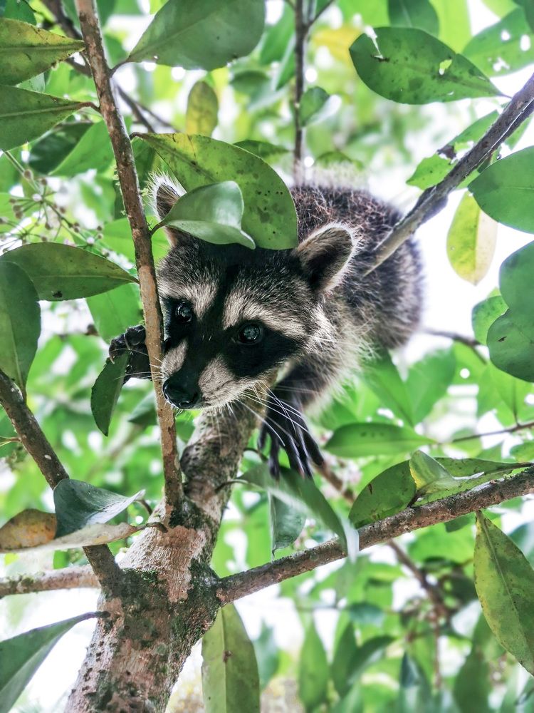 Photograph by Lola Vierse