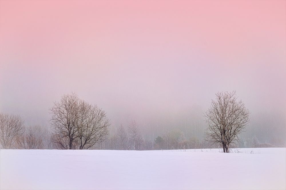 Photograph by Олег Менакер