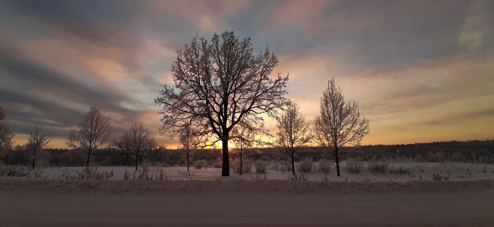 Фотография автора Олег Анатольевич Загорулько