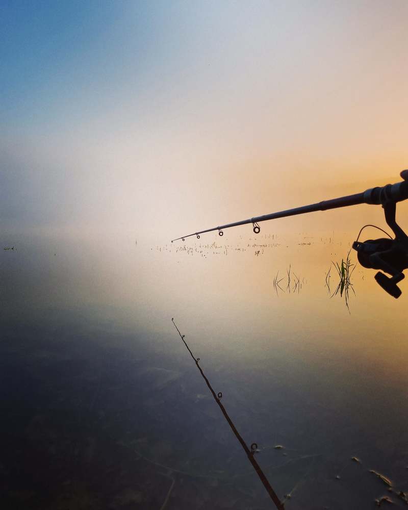 Photograph by Мария Владимировна